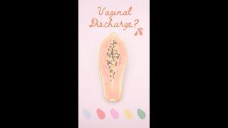 Vaginal Discharge leads to Vaginal Infection? Vaginal Infection colors? | Dr Neeraj Pahlajani