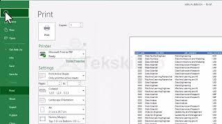 Excel Printing Setup