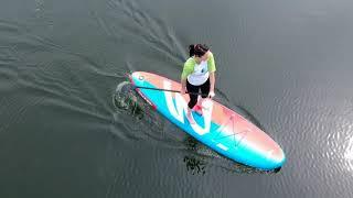 Shark SUP 10'6" Allround