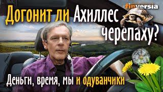 Догонит ли Ахиллес черепаху? Деньги, время, мы и одуванчики | Ян Арт. Finversia