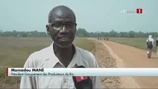 VALLÉE DE MANCANOBA | Les effets positifs de la digue anti-sel