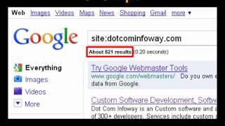 Basic SEO Tips, SEO Tutorial - Website Index Status