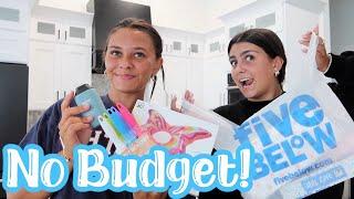 NO BUDGET 5 BELOW Shopping And Haul! Emma and Ellie