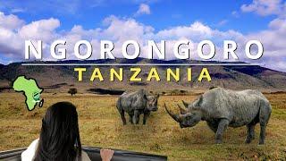 Wild Tanzania! Ngorongoro Crater & Lake Manyara Safari Adventure 