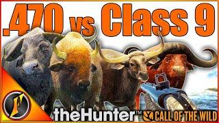 .470 Nitro vs ALL Class 9 Animals in theHunter Call of the Wild! 