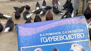 Мелитопольские голуби. Порода, стандарт, селекция и отбор…
