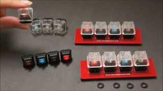Max Keyboard Premium PCB mount Cherry MX Switch, O-Ring and Keycap Sampler Kit