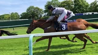 Yarmouth Racecourse - A Campsite view of the Races