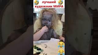 лучший художник МИРА ХА ХА ХА