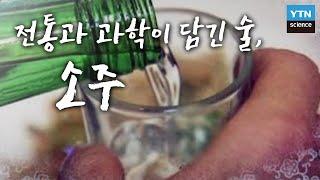 전통과 과학이 담긴 술, 소주 / YTN 사이언스