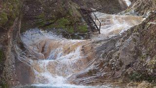 Лайтовый водопад (крыло ангела) Жадановский