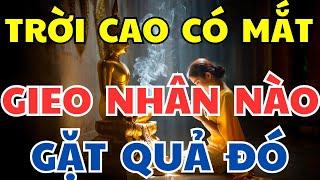 Nhân Quả Báo Ứng Hiện Đời: Cẩn Thận Khi Phát Ngôn | Gieo Nhân Nào Gặt Quả Đó