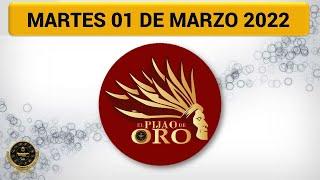 PIJAO DE ORO Resultado del MARTES 01 de marzo del 2022 