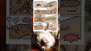 In 3025 This Meme Will Be Ancient Text Displayed on The MindMeta. (Kitty)