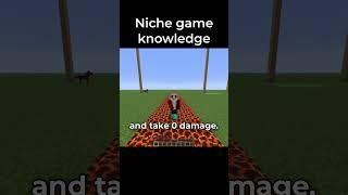 Minecraft Niche Game Knowledge