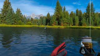 Real VR Fishing - Meta Quest 3 - Vid 8 #fishing #vrfishing