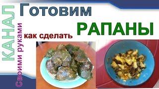 Как приготовить РАПАНЫ / How to cook Rapana