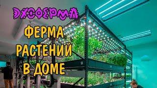 ФЕРМА РАСТЕНИЙ В ДОМЕ С НУЛЯ. 13.03.19. PLANT FARM UPGRADE