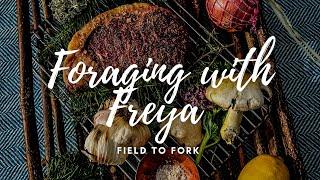 Mushroom Foraging with Freya - Steak and Venison Ending - Hunter Gatherer Cooking HGC