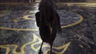 Warcraft III Human Campaign Movie 02