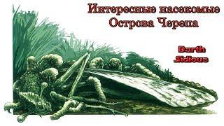 "Жизнь Острова Черепа" (The Life of Skull Island) - Интересные насекомые