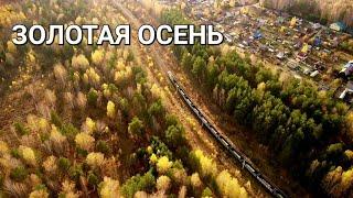 ЗОЛОТАЯ ОСЕНЬ с ВЫСОТЫ ПТИЧЬЕГО ПОЛЕТА  | Dji | 4K #осень #природа #урал #dji