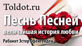 [7 часть] Любовь и измена! Мудрость царя Соломона. Рабанит Эстер Офенгенден.