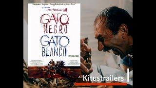 Kitustrailers : GATO NEGRO, GATO BLANCO (Trailer en Español)