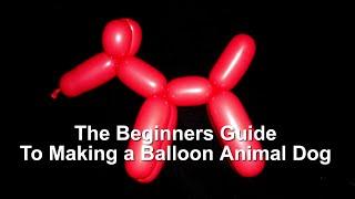 The Beginner's Guide to Making a Dog Balloon Animal #balloondog #balloonanimals