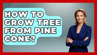 How To Grow Tree From Pine Cone? - The Plant Enthusiast