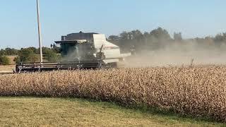 Soybean harvest at Stroda Farms