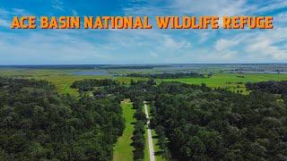 Biking the Ace Basin | Ernest F. Hollings National Wildlife Refuge