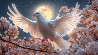 Holy Spirit Clearing All Dark Energy & Fears, Heal All The Damage Of The Body, Soul And Spirit