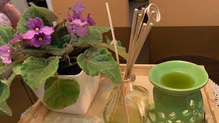 Lemon grass Oil from Home grown Lemon grass #Shorts