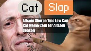 Altcoin Sherpa Tips Low Cap Cat Meme Coin For Altcoin Season