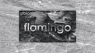 Albion - Flamingo ft. Rauf Qarayev