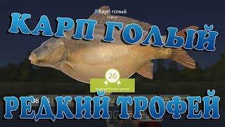 Russian Fishing 4/ Редкий Троф ( Карп Голый ) / Оз.Медвежье