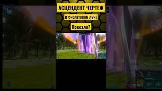 АСЦЕНДЕНТ ОРУЖИЕ В ЛУЧЕ ARK Mobile! #shortvideo #shorts #short #ark #arkmobile #арк #fyp #rec #viral