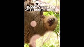Best Places To Visit In Costa Rica  | Shahwaiz Essa