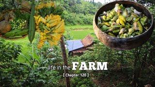 Living in the farm surrounded by nature in a MODERN BAHAY KUBO [alone] my simple & peaceful life