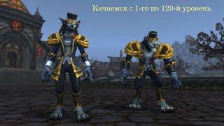 Прокачиваем персонажа с 1 по 120 лвл wowcircle bfa 8.3.7