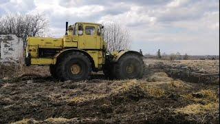 Работа БДТ-7 и К-701. Подготовка полей к посеву после раскорчёвки