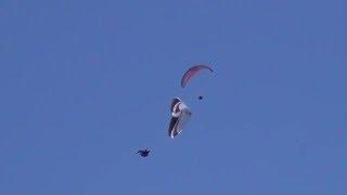 Paragliding, SIV 2015,   Ozone Delta 2, Lawrie Noctor