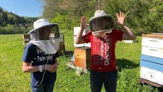 3 Questions I Asked a Professional Beekeeper in Tennessee.