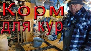 Чем кормить кур? |  Комбикорм для кур несушек.