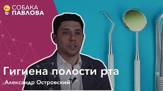 Гигиена полости рта - Александр Островский // зубные щетки, ополаскиватель для рта, зубная паста