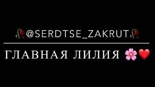 Новая песня эту песню ищут все ты моя лилия лилия 2024️