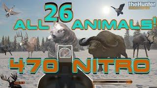 Hunting EVERY Animal with the 470 NITRO Express!! (All 26 Species) Call of the WILD THEHUNTER 2018