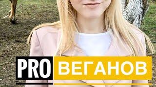 Стихотворение «Про Веганов»
