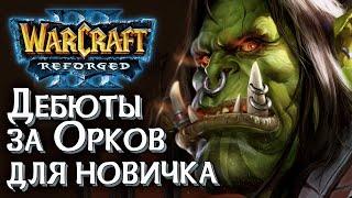 Дебюты за Орков для новичка: Разбираемся в Warcraft 3 Reforged